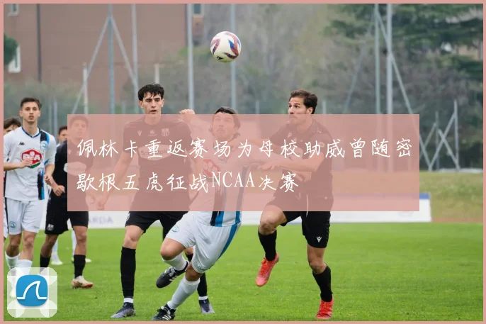 佩林卡重返赛场为母校助威曾随密歇根五虎征战NCAA决赛